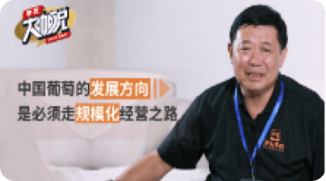 中国通常的发展方向 是必须走规；