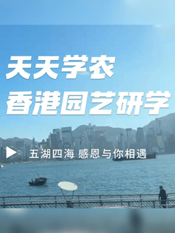与香港园艺学会结合进行香港园艺研学，专业园境师带队解说。