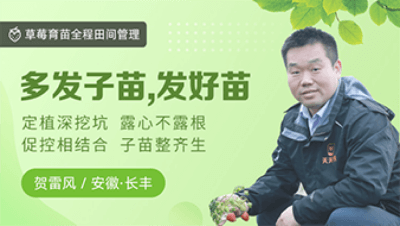 多发子苗，发好苗